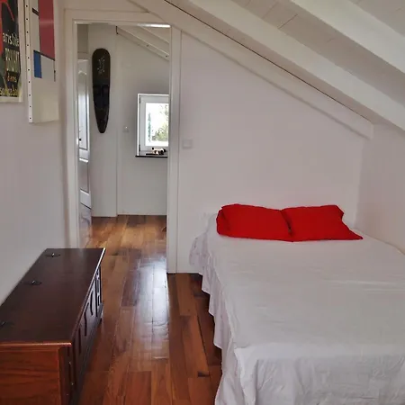 House Korcula Holiday home *